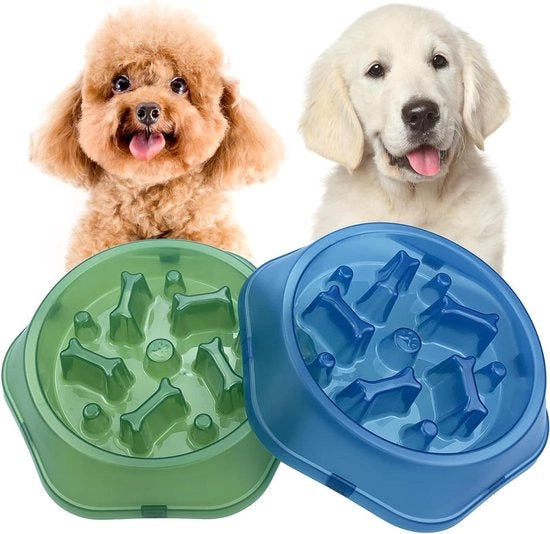 Lento Alimentatore per Cuccioli di Piccole e Medie Razze Cani Animale Domestico (Azzurro+Verde)