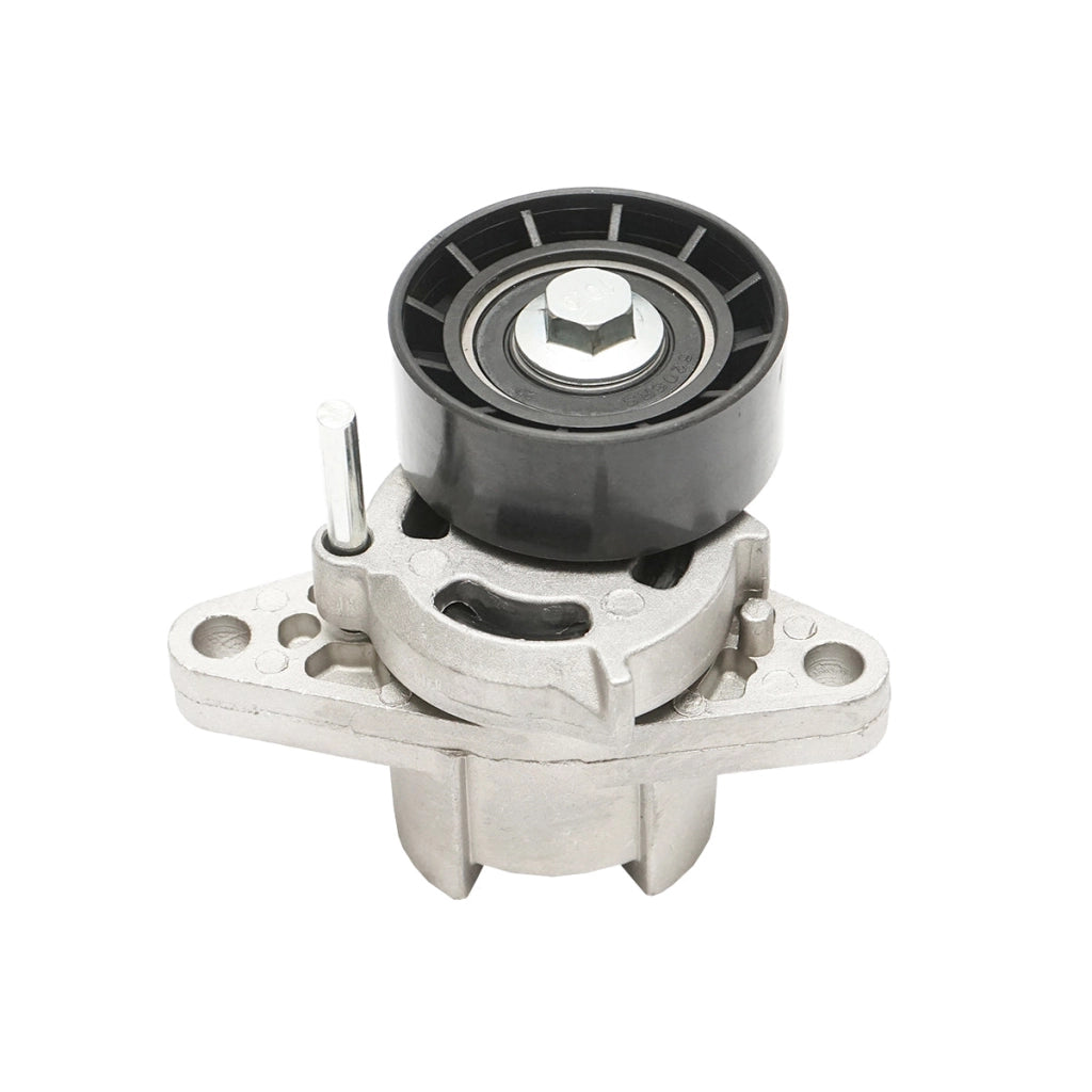 Puleggia tenditrice con molla per cinghia di trasmissione Dacia Logan benzina 8200603359