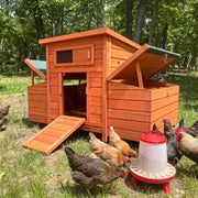 GABBIA PER GALLINE 83,5x72x24 cm Legno Dorato