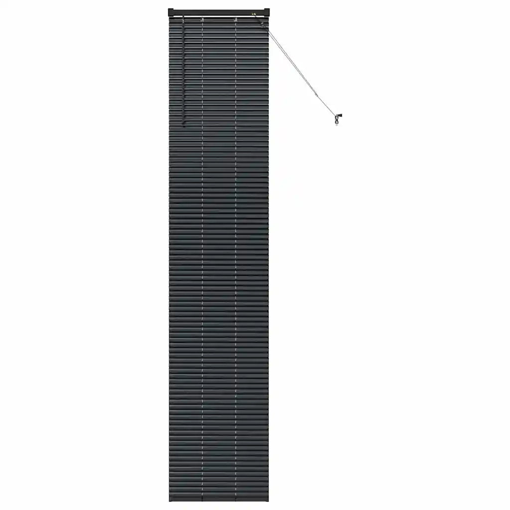 Tendaggi a Veneziana | Tenda a lamelle Nero 220 x 45 cm Alluminio