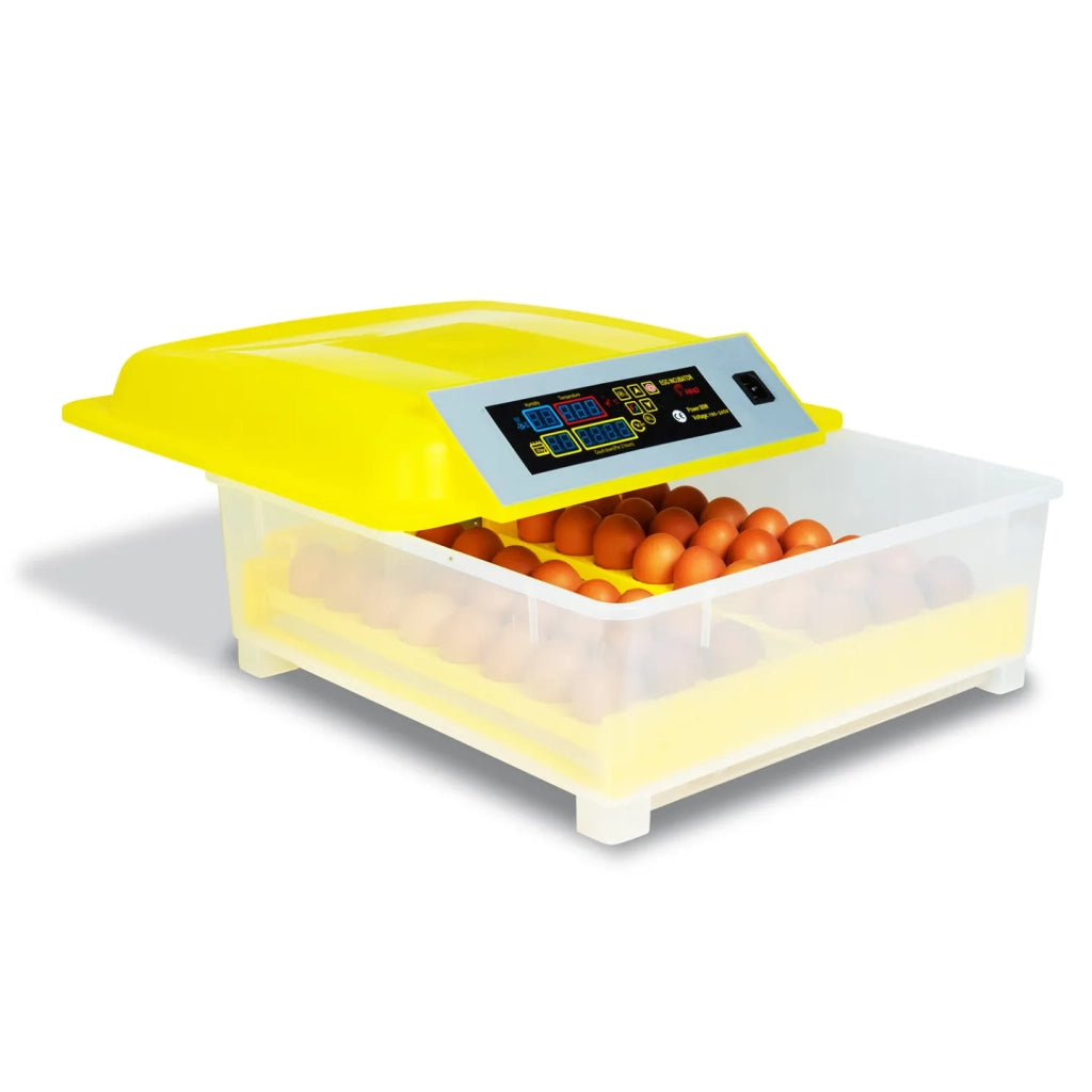 IDMarket - Incubatrice automatica per 48 uova covatrice macchina per cova artificiale incubazione uova