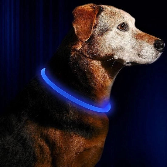 Cani illuminati – Collare per cani con luce – Lampada per cani – Cani uscita – Lampada per cani con batteria 3V LR44 (6 pezzi)