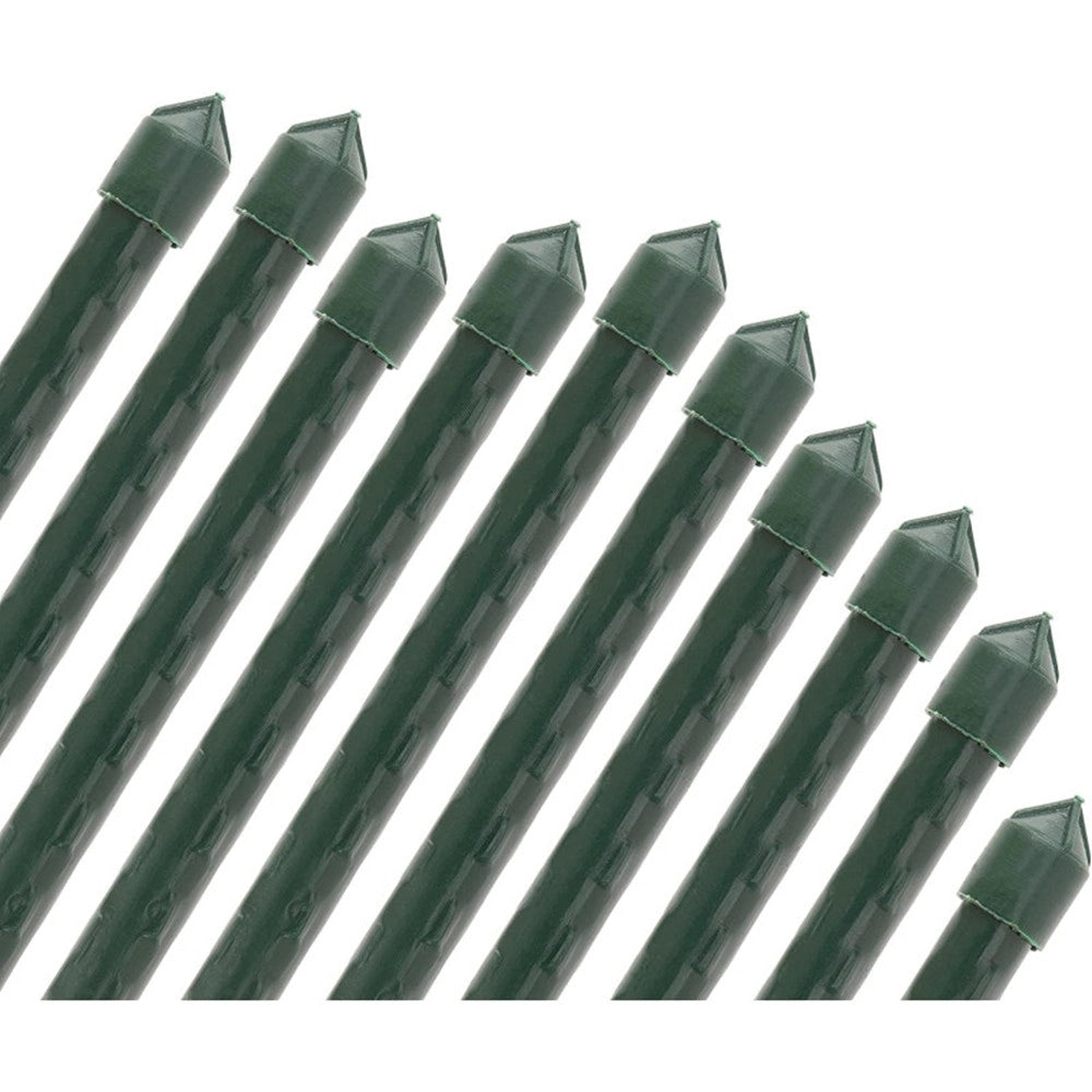 Trade Shop - Set 25 Pali Tutori Canna Per Sostegno Piante Rampicanti Pomodori H150cm ø11mm Grn20 764012 -