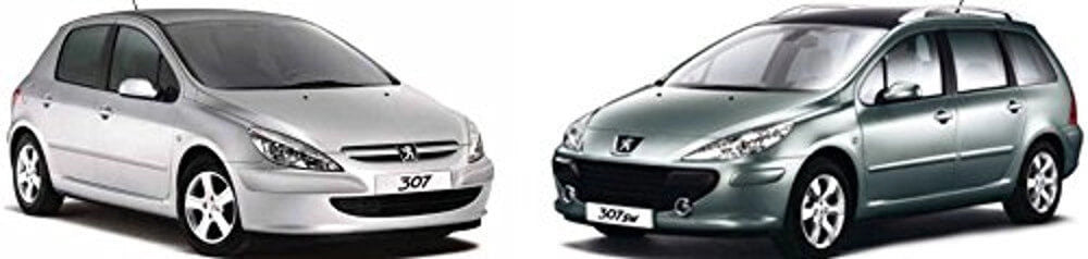 SPRINT03504 , Peugeot 307 Berlina 3/5 porte dal 2001-2009 , Peugeot 307 Station Wagon dal 2001-2009 , Fix SOLO FORO