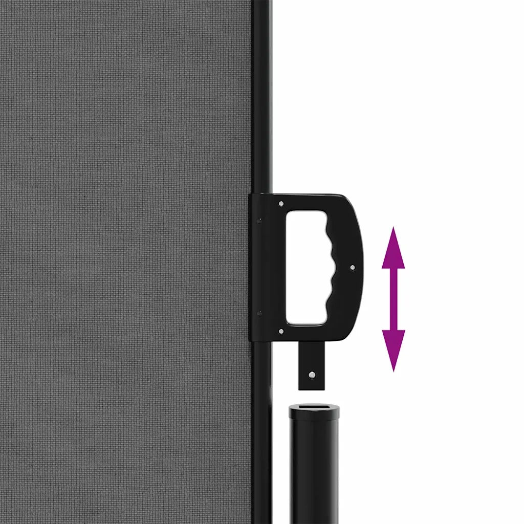 Tenda da Sole Laterale Retrattile-Tenda parasole per balcone Antracite 120x600 cm 723339
