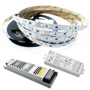 KIT Striscia LED 100W 24V luce multicolore RGB CCT da 3000K-6000K centralina WiFi SMART Alexa GoogleAPP sound control 5m