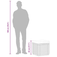 Keter Cubo Pouf Portaoggetti con Cuscino Cappuccino 408952