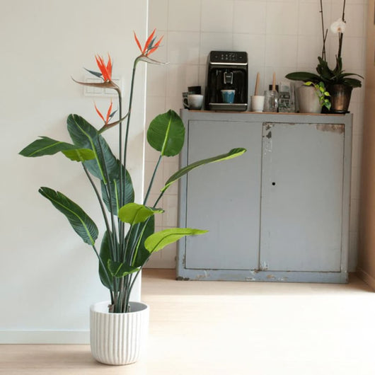 Emerald Strelitzia Pianta Artificiale in Vaso con Fiori 120 cm 428469