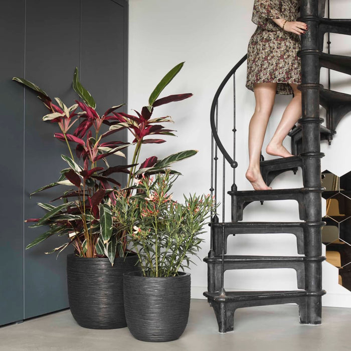 Capi Fioriera Nature Rib Rotonda 43x41 cm Nera KBLR933 424234
