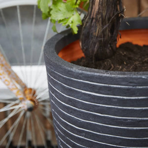 Capi Vaso Nature Row Elegante Basso 36x47 cm Antracite KRWZ782 424278