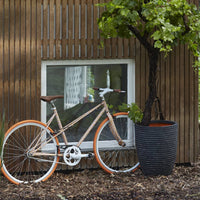 Capi Vaso Nature Row Elegante Basso 36x47 cm Antracite KRWZ782 424278