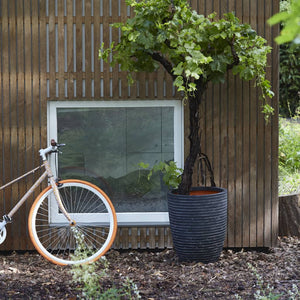 Capi Vaso Nature Row Elegante Basso 36x47 cm Antracite KRWZ782 424278