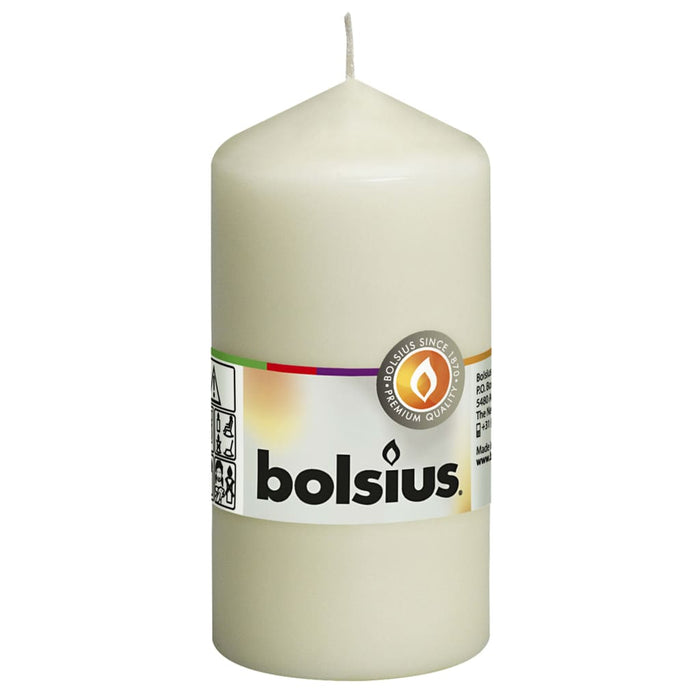 Bolsius Candele Moccoli 10 pz 120x58 mm Avoriocod mxl 121289