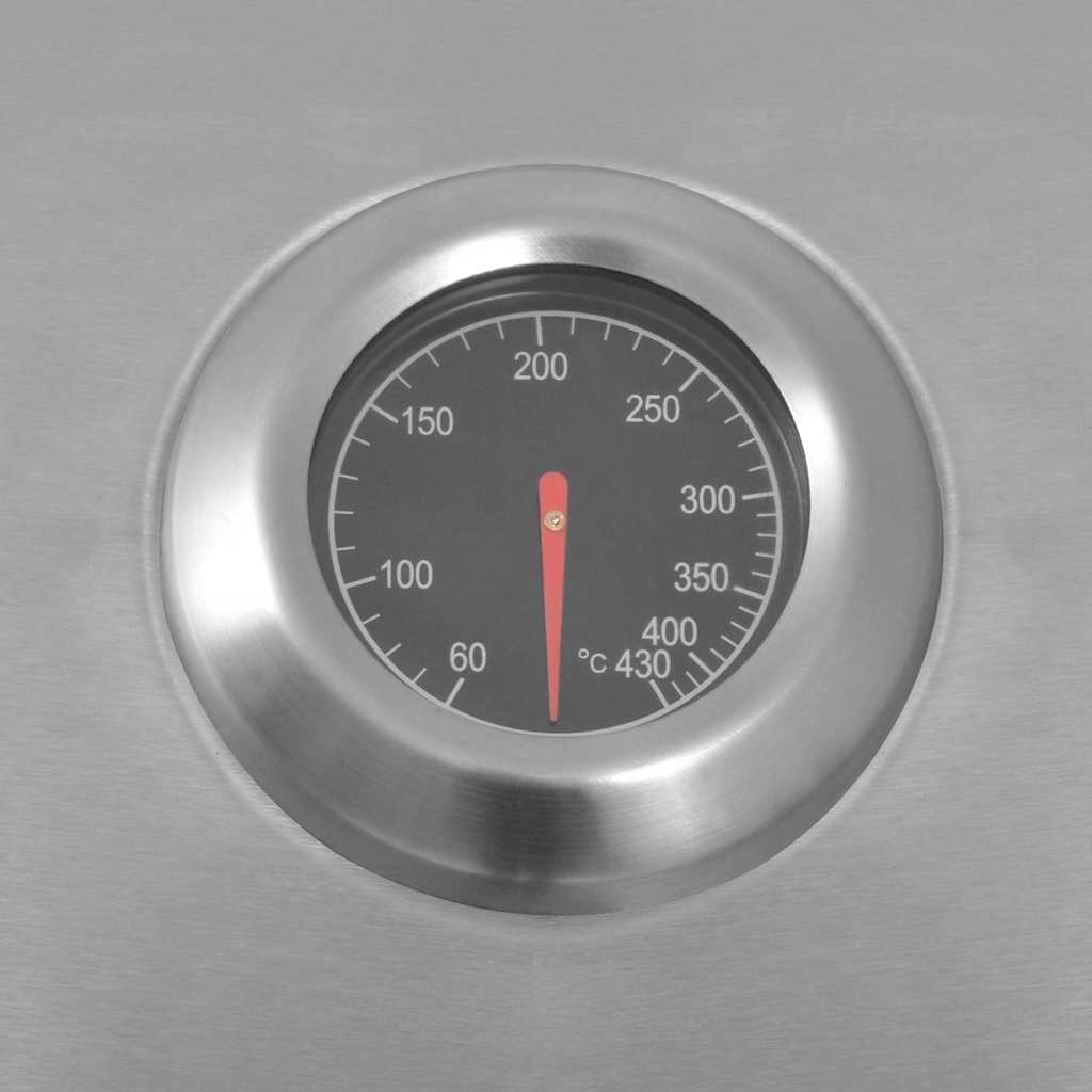 Griglia Barbecue a Gas Argento Acciaio inossidabile 43047