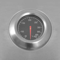 Griglia Barbecue a Gas Argento Acciaio inossidabile 43047