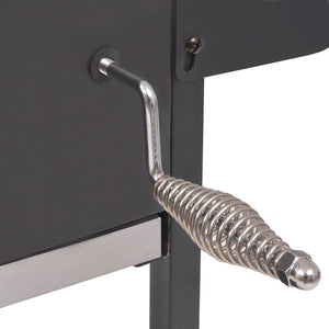 Barbecue a Carbonella con Ripiano Inferiore Nero 43048