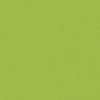 Cuscini da Esterno 2 pz 60x40 cm Verde Mela 132292