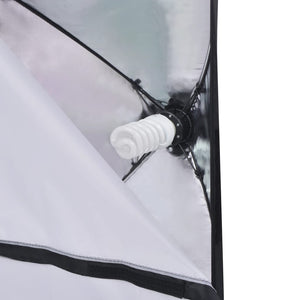 Kit di illuminazione professionale per studio fondali fotografici softbox ombrello treppiede 02_0001413