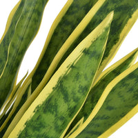 Sansevieria Pianta Artificiale con Vaso 90 cm Verde 244427