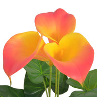 Calla Lily Artificiale con Vaso 45 cm Rosso e Giallo 244442