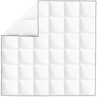 Piumone Invernale Piuma Anatra 200x200 cm cod mxl 77490