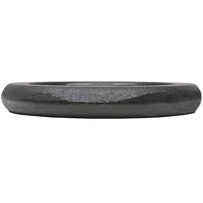 Dischi per Pesi 4 pz 4x5 kg in Ghisa 91392