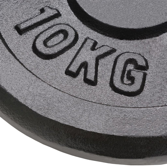 Dischi per Pesi 2 pz 2x10 kg in Ghisa 91394