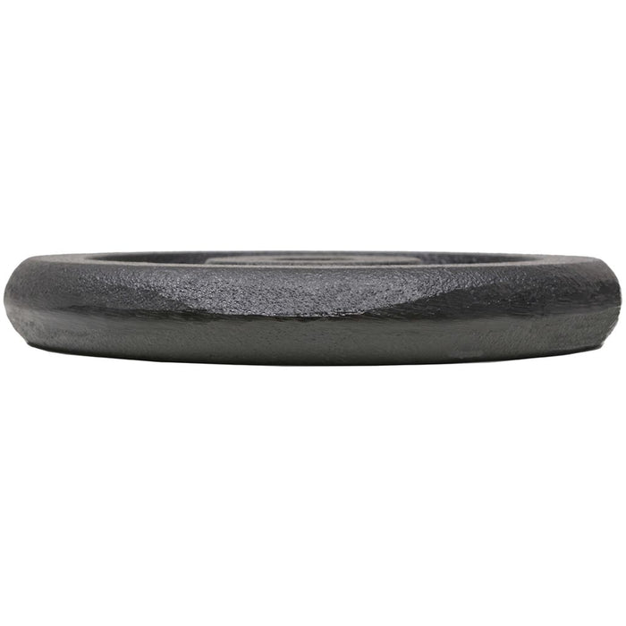 Disco pesi 4 pezzi 2 x 10 kg + 2 x 5 kg manubri in ghisa fitness bodybuilding 02_0000761