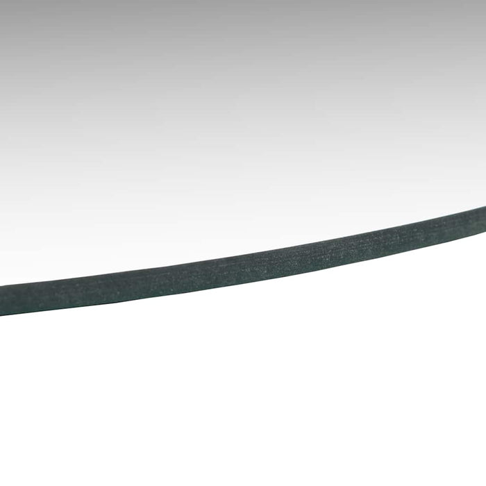 Specchio da Parete 50 cm in Vetro Circolare 245703