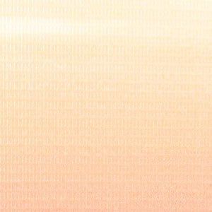 Paravento Pieghevole 120x170 cm Stampa Parigi di Notte 245869