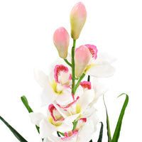 Orchidea Cymbidium Artificiale con Vaso 100 cm Verdecod mxl 119203