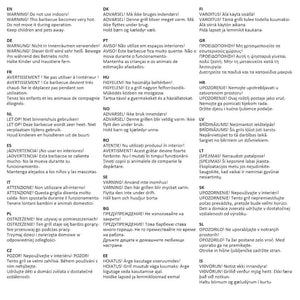 Barbecue a Gas con Griglia 2 Fornelli Argento Acciaio Inox 44274