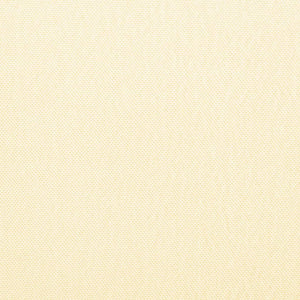 Tenda Laterale per Terrazza Pieghevole Crema 300x200 cm 44569