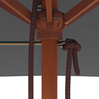 Ombrellone da Esterni con Palo in Legno 150x200 cm Antracite 44535