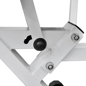 Panca da Palestra con Bilanciere e Set di Manubri 30,5 kg 275351