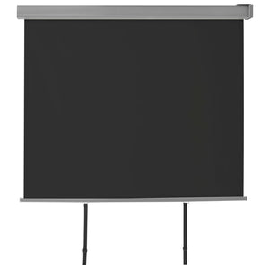 Tenda Laterale per Terrazzo Multifunzionale 150x200cm Nero 143714