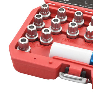 Set di Bussole per Rimozione Dadi 21 pz per BMW 210489