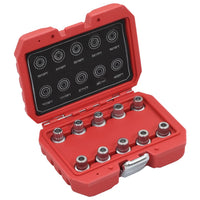 Set Chiavi Dado Ruota di Bloccaggio 10 pz per BMW cod mxl 70978