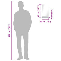 Specchio da Parete-Specchio a muro con Mensola 20x40 cm in Vetro Temperato