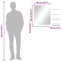 Specchio da Parete con 5 Mensole Argento 50x60 cm 249444