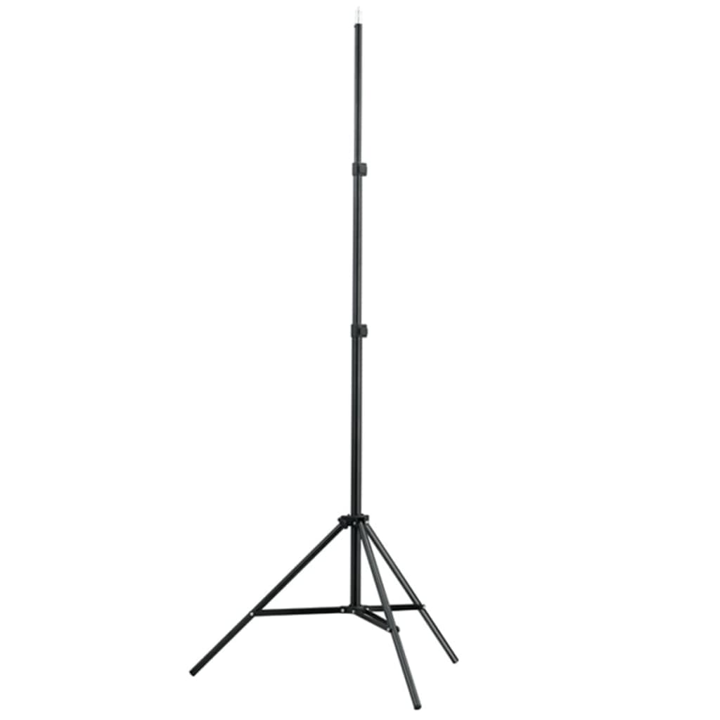 Set Studio Fotografico Fondale Verde 600x300 cm e Luci 160178