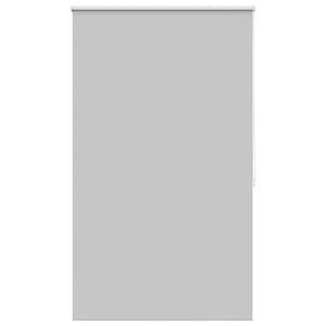 Tenda a Rullo Oscurante 100 x 175 cm Grigio 240121