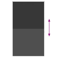 Tenda a Rullo Oscurante 100 x 175 cm Nera 240122