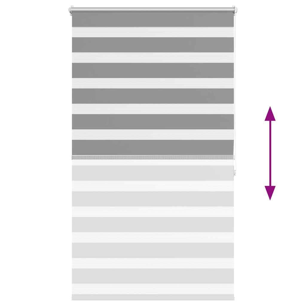 Tenda a rullo oscurante zebra 80x175cm grigia cod mxl 40955