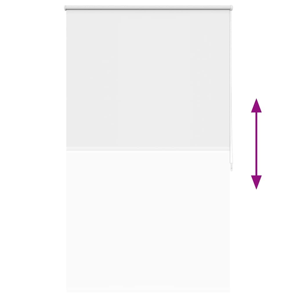 Tenda a Rullo Oscurante 80 x 175 cm Bianco 240107