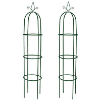 Set Torri ad Arco 2 pz per Piante Rampicanti da Giardino