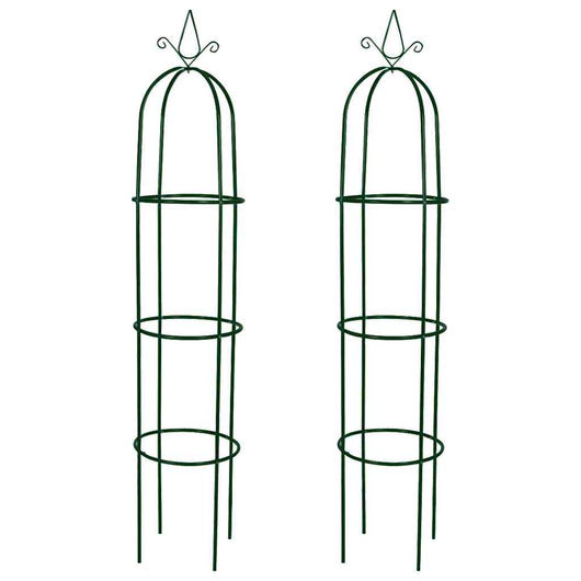 Set Torri ad Arco 2 pz per Piante Rampicanti da Giardino