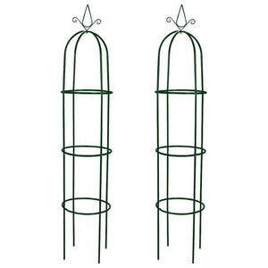 Set Torri ad Arco 2 pz per Piante Rampicanti da Giardino 40779