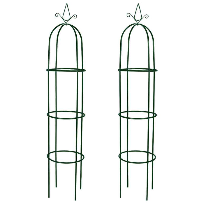 Set Torri ad Arco 2 pz per Piante Rampicanti da Giardino 40779