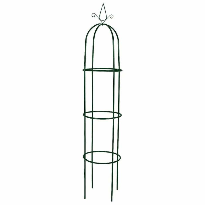 Set Torri ad Arco 2 pz per Piante Rampicanti da Giardino 40779